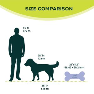 FitPAWS K9FITbone Dog Training Regular Balancing Bone, Blue