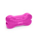 FitPAWS K9FITbone Dog Training Regular Balancing Bone, Razzleberry