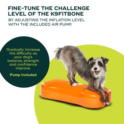Show full view: FitPAWS K9FITbone Dog Training Regular Balancing Bone, Orange slide 4 of 8
