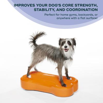 Show full view: FitPAWS K9FITbone Dog Training Regular Balancing Bone, Orange slide 3 of 8