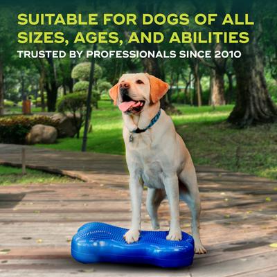 Show full view: FitPAWS K9FITbone Dog Training Regular Balancing Bone, Blue slide 5 of 8