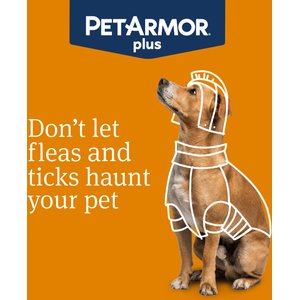 PetArmor Plus Flea & Tick Spot Treatment for Dogs, 5-22 lbs, 6 Doses (6-mos. supply)