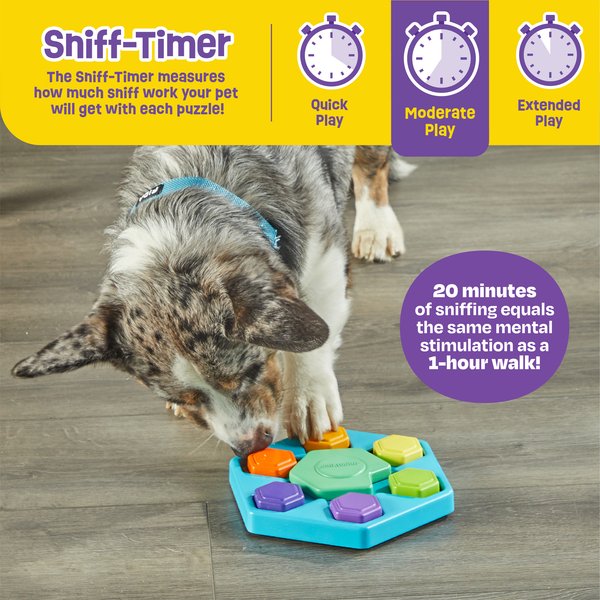Show full view: Brightkins Spin & Seek Hexagon Treat Dispensing Dog Toy, Multi Color, 9.84 x 8.5 x 1.77-in slide 5 of 9
