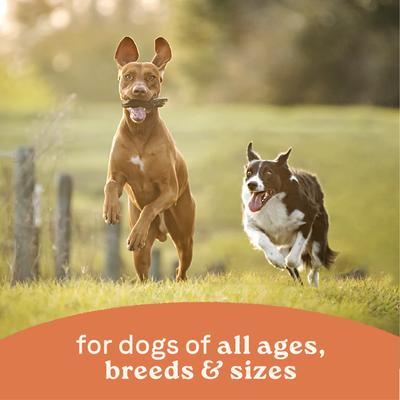 Show full view: CANIDAE All Life Stages Chicken & Rice Formula Canned Dog Food, 13-oz, case of 12 slide 9 of 10