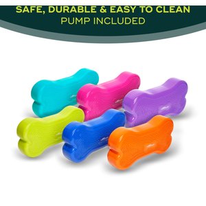 FitPAWS K9FITbone Dog Training Regular Balancing Bone, Blue