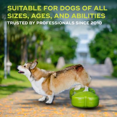 Show full view: FitPAWS K9FITbone Dog Training Regular Balancing Bone, Green slide 5 of 8