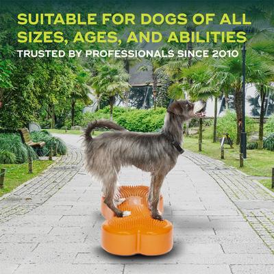 Show full view: FitPAWS K9FITbone Dog Training Regular Balancing Bone, Orange slide 5 of 8