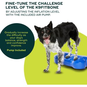 FitPAWS K9FITbone Dog Training Regular Balancing Bone, Blue