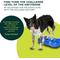 Show in main carousel: FitPAWS K9FITbone Dog Training Regular Balancing Bone, Blue slide 4 of 8
