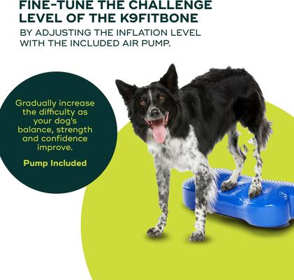 Show full view: FitPAWS K9FITbone Dog Training Regular Balancing Bone, Blue slide 4 of 8