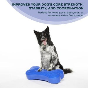 FitPAWS K9FITbone Dog Training Regular Balancing Bone, Blue