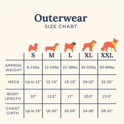 Show full view: Lucy & Co. Happy Howlidays Teddy Reversible Dog Vest, Medium slide 4 of 5