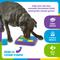 Show in main carousel: Brightkins Tic Tac Treat Dispensing Dog Toy, Multi Color, 9.84 x 7.87 x 2.13-in slide 4 of 9