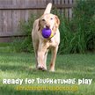 Show in main carousel: Brightkins Texture Ball Tough & Tumble Treat Dispensing Dog Toy, Multi Color, 8.19 x 6.3 x 4.13-in slide 2 of 8