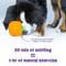 Show in main carousel: Brightkins Pumpkin Tough & Tumble Treat Dispensing Dog Toy, Multi Color, 7.2 x 5.24 x 3.7-in slide 6 of 9