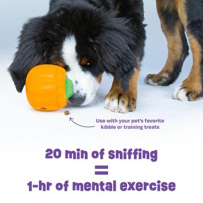 Show full view: Brightkins Pumpkin Tough & Tumble Treat Dispensing Dog Toy, Multi Color, 7.2 x 5.24 x 3.7-in slide 6 of 9