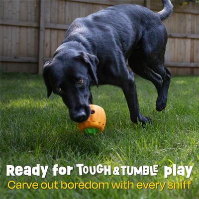 Show full view: Brightkins Pumpkin Tough & Tumble Treat Dispensing Dog Toy, Multi Color, 7.2 x 5.24 x 3.7-in slide 2 of 9