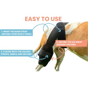 Labra Cold Hot Therapy Ice Dog Knee Wrap Brace, Black, Medium