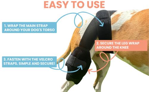 Show full view: Labra Cold Hot Therapy Ice Dog Knee Wrap Brace, Black, Medium slide 5 of 9