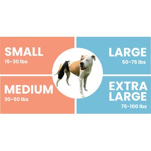 Labra Cold Hot Therapy Ice Dog Knee Wrap Brace, Black, Medium