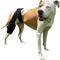 Show in main carousel: Labra Cold Hot Therapy Ice Dog Knee Wrap Brace, Black, Medium slide 8 of 9
