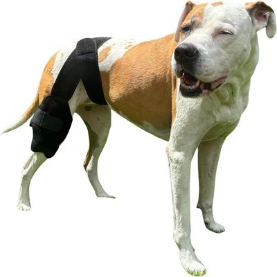 Show full view: Labra Cold Hot Therapy Ice Dog Knee Wrap Brace, Black, Medium slide 8 of 9