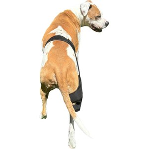 Labra Cold Hot Therapy Ice Dog Knee Wrap Brace, Black, Medium