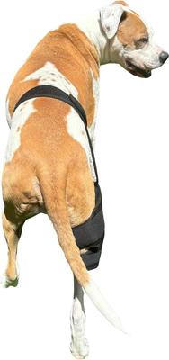 Show full view: Labra Cold Hot Therapy Ice Dog Knee Wrap Brace, Black, Medium slide 9 of 9