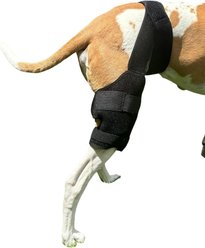 Labra Cold Hot Therapy Ice Dog Knee Wrap Brace, Black, Medium