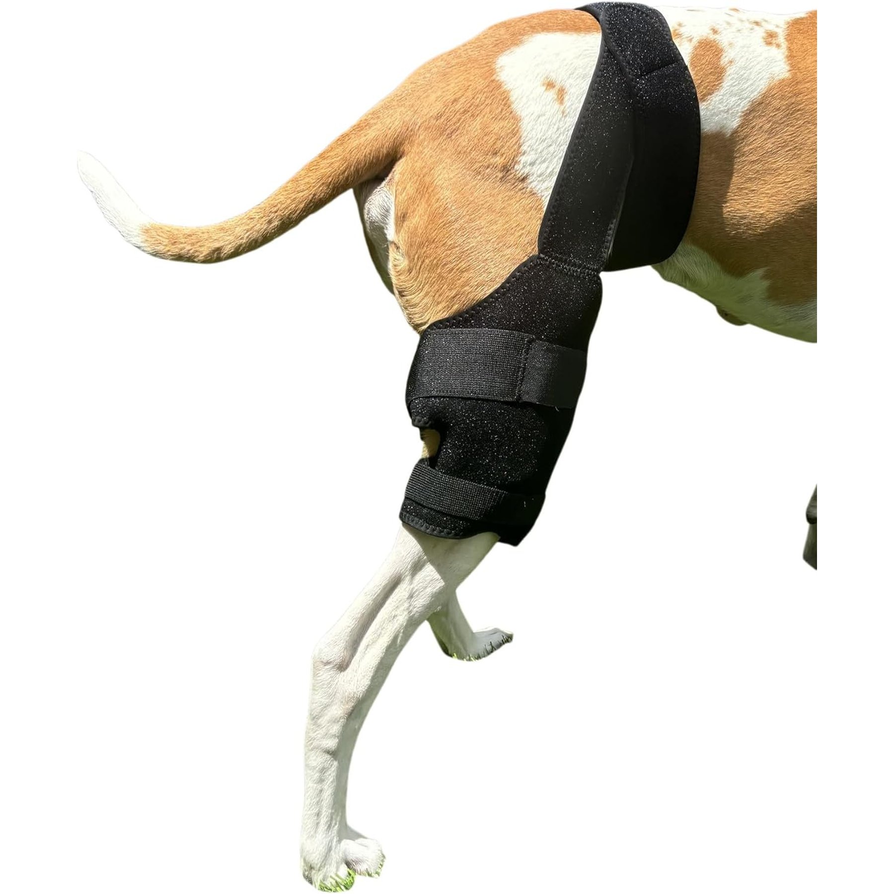 Labra Cold Hot Therapy Ice Dog Knee Wrap Brace, Black, X-Large