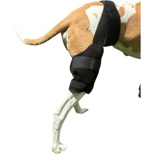Labra Cold Hot Therapy Ice Dog Knee Wrap Brace, Black, Medium