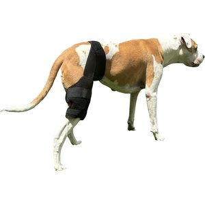 Labra Cold Hot Therapy Ice Dog Knee Wrap Brace, Black, Medium