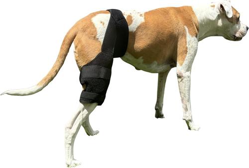 Show full view: Labra Cold Hot Therapy Ice Dog Knee Wrap Brace, Black, Medium slide 7 of 9