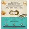 Show in main carousel: The Honest Kitchen Human Grade Wholemade Whole Grain Fish & Oats Dehydrated Dog Food, 4-lb box slide 4 of 13