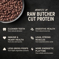 Vital Essentials Crunchy Mini Nibs Raw Chicken Entree Freeze-Dried Cat Food, 12-oz bag slide 2 of 9