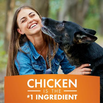 Show full view: Pur Luv K9 Kabob Real Chicken & Sweet Potato Dog Treats, 12-oz bag slide 6 of 11