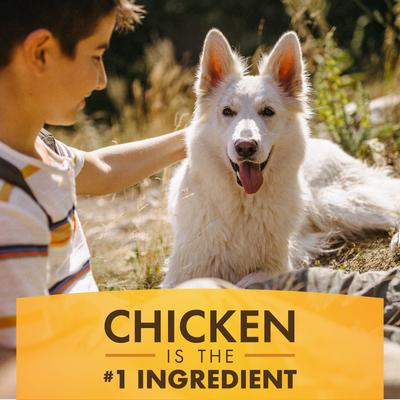 Show full view: Pur Luv K9 Kraves Peanut Butter Dog Treats, 20 count slide 6 of 10