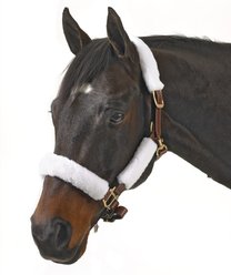 Equi-Essentials Centaur Synthetic Fleece 4 Piece Horse Halter Tube Kit
