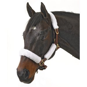 Equi-Essentials Centaur Synthetic Fleece 4 Piece Horse Halter Tube Kit