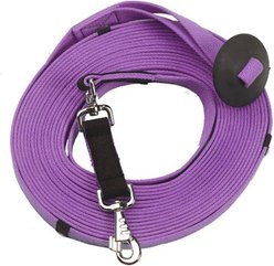 Centaur Poly-Cotton Web Horse Lunge Line with Donut, Amethyst, 35-ft long, 1-in wide