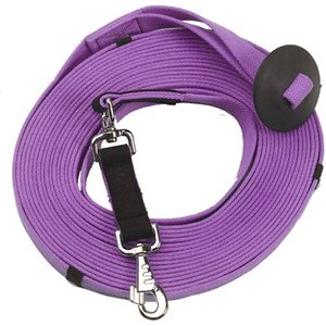 Centaur Poly-Cotton Web Horse Lunge Line with Donut, Amethyst, 35-ft long, 1-in wide