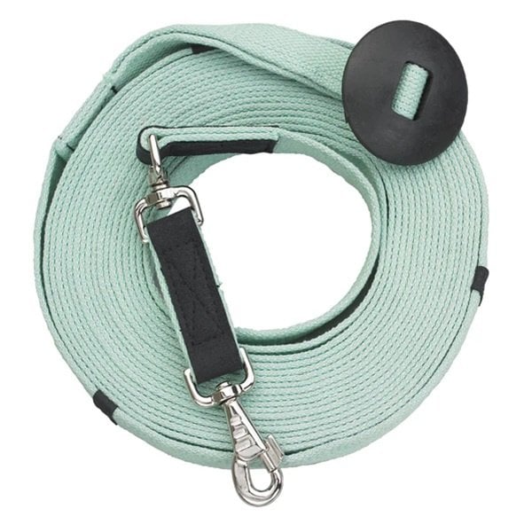 Centaur Poly-cotton Web Horse Lunge Line With Donut, Ice Green, 35-ft Long, 1-in Wide