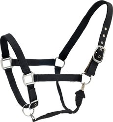 Centaur Solid Cushion Padded Breakaway Horse Halter, Black, Pony
