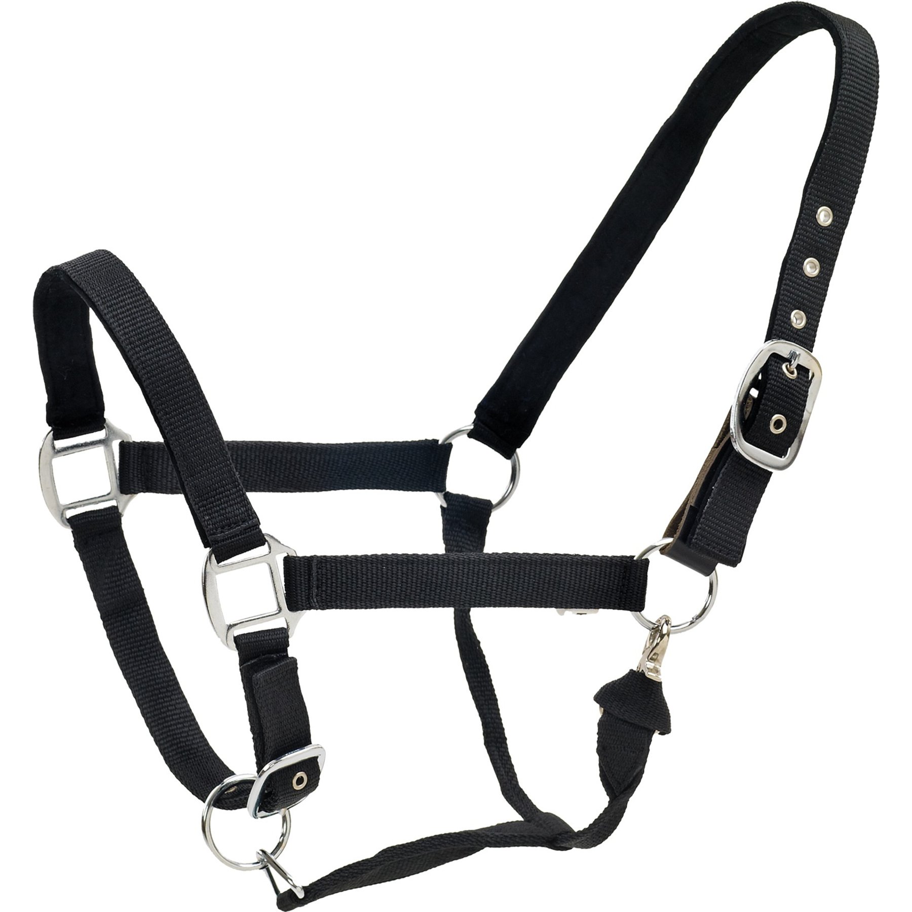Centaur Solid Cushion Padded Breakaway Horse Halter, Black, Draft