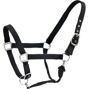 Centaur Solid Cushion Padded Breakaway Horse Halter, Black, Horse