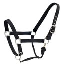 Centaur Solid Cushion Padded Breakaway Horse Halter, Black, Horse