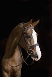 Pessoa PRO Fancy Stitched Tapered Horse Bridle