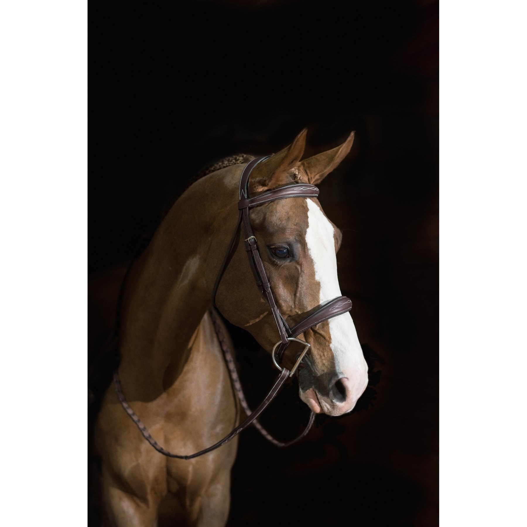 Pessoa PRO Fancy Stitched Tapered Horse Bridle
