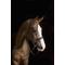 Show in main carousel: Pessoa PRO Fancy Stitched Tapered Horse Bridle slide 1 of 1