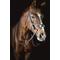 Show in main carousel: Pessoa PRO Fancy Stitched Figure-8 Horse Bridle slide 1 of 1